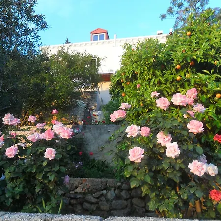 Guest house House Smajic 3*
